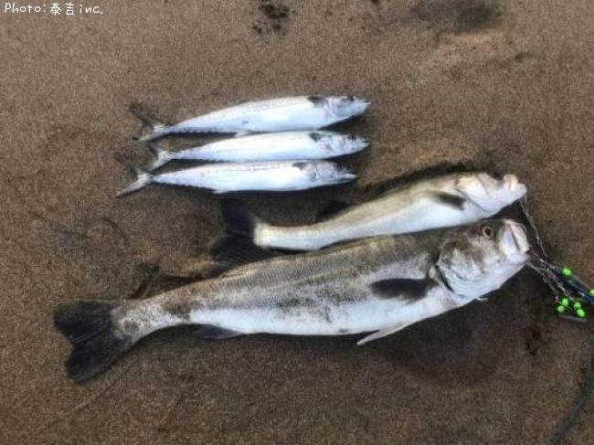 �����Х�����������