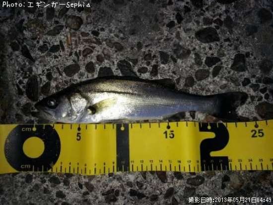 �����Х����ʥ�������