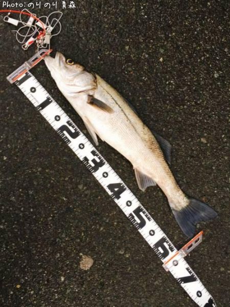 �����Х���������