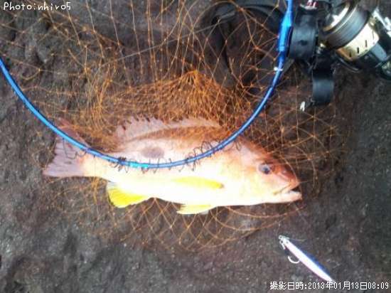 ���֥���