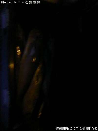 ������ʥڥ�ڥ��