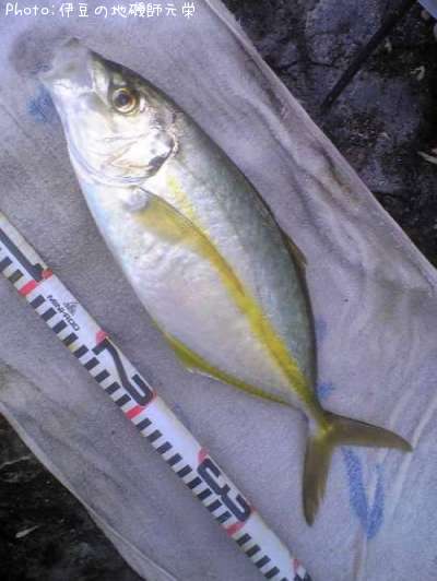 ���ޥ���