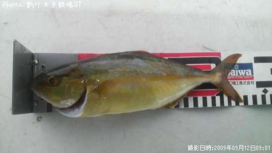 ���ޥ���