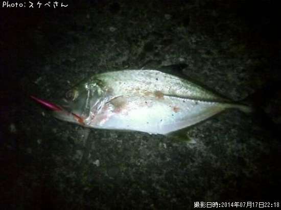 ���ޥ���