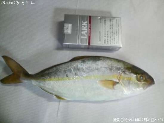 ���ޥ���