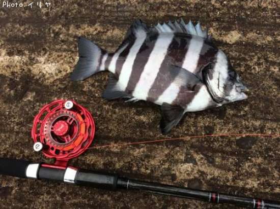 ���ޥ���