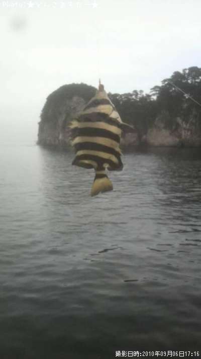 ���ޥ���