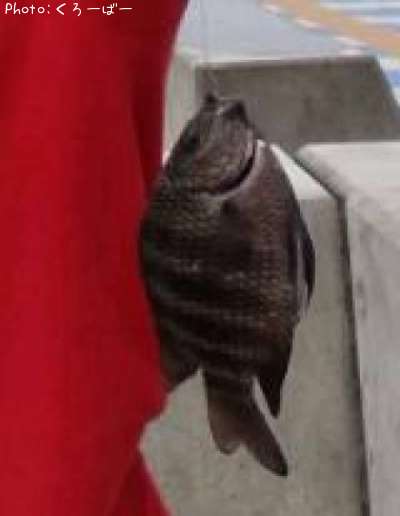 ���ޥ��������