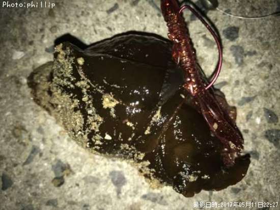 �����ޥͥ�