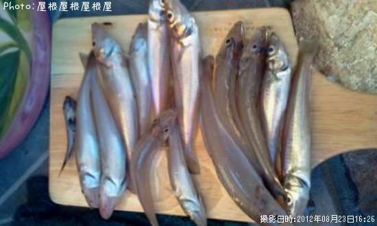 �������������