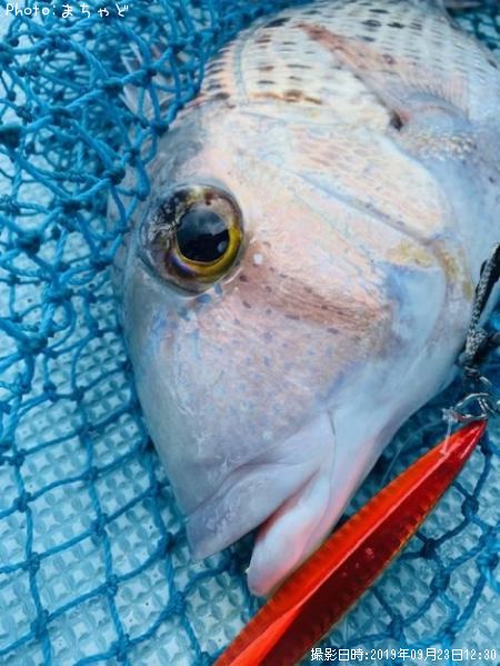 ���륤�桼�ڥ���������