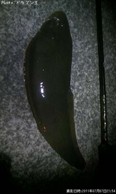 �����ӥ��