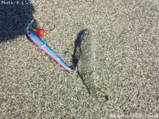 �����ӥ��