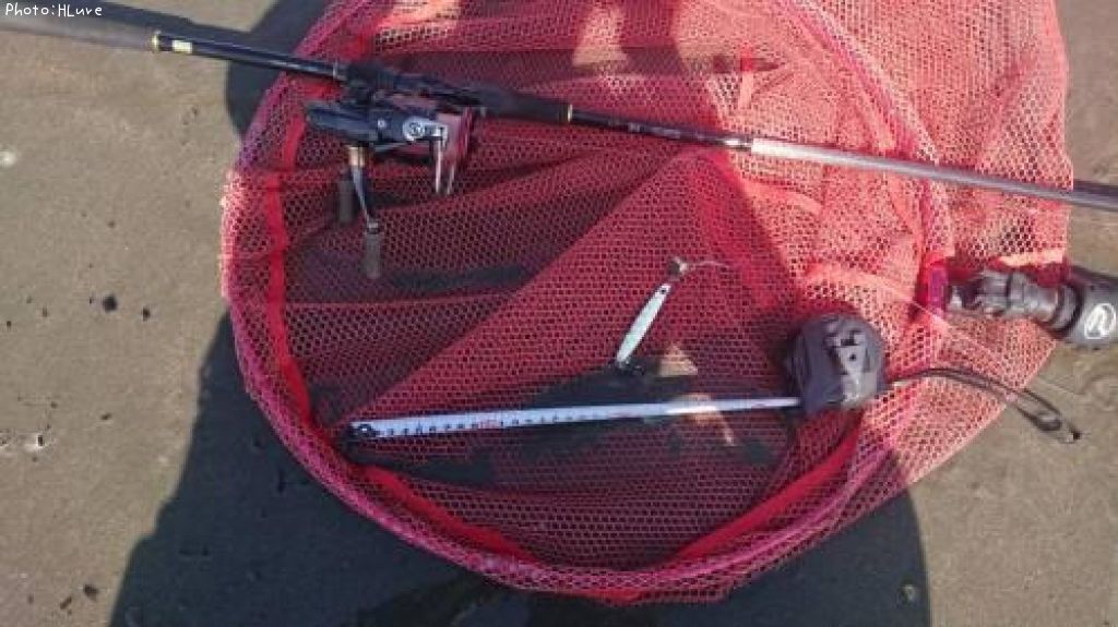 �����ӥ��