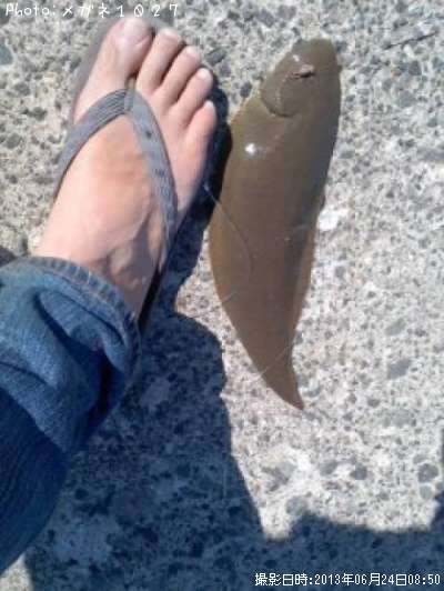 �����ӥ��