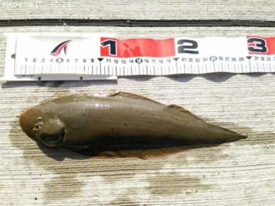 �����ҥ��