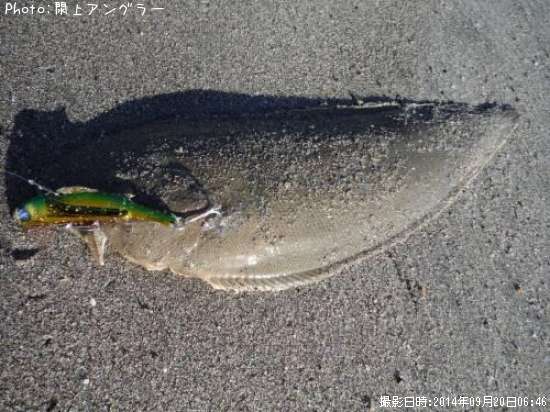 �����ҥ��