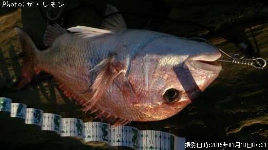 ���祢��å�