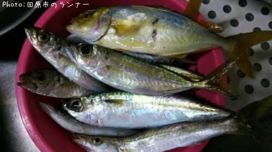 ���祴�����������С����ޥ�