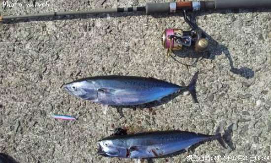 ���������ĥ�