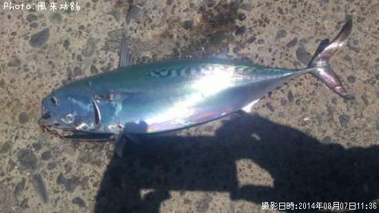 ���������ĥ�