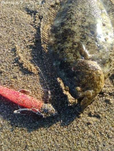 �����å���