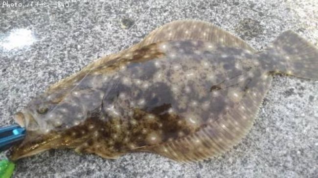 �����ȥ�������ȥҥ��