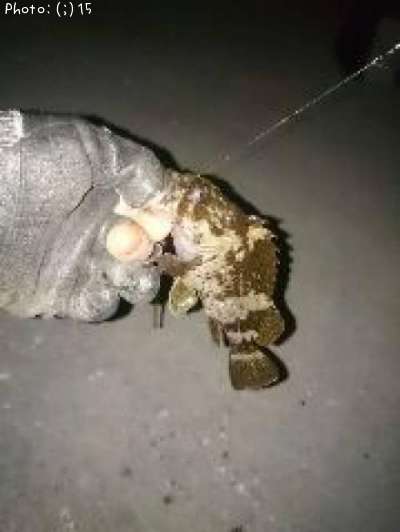 �������᥸��