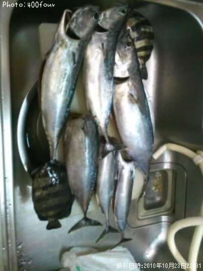 ���������������