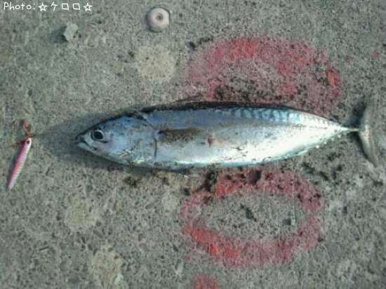 ���������ĥ�