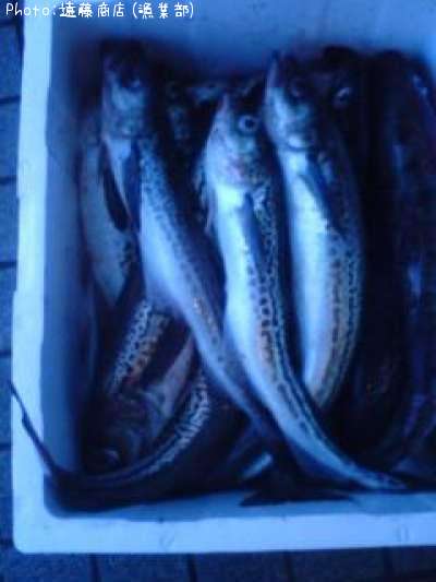 ��������í