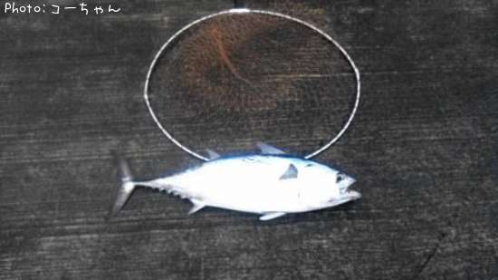 ���ޥ��ĥ�