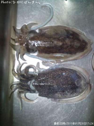 ���ߥ���������䥱����