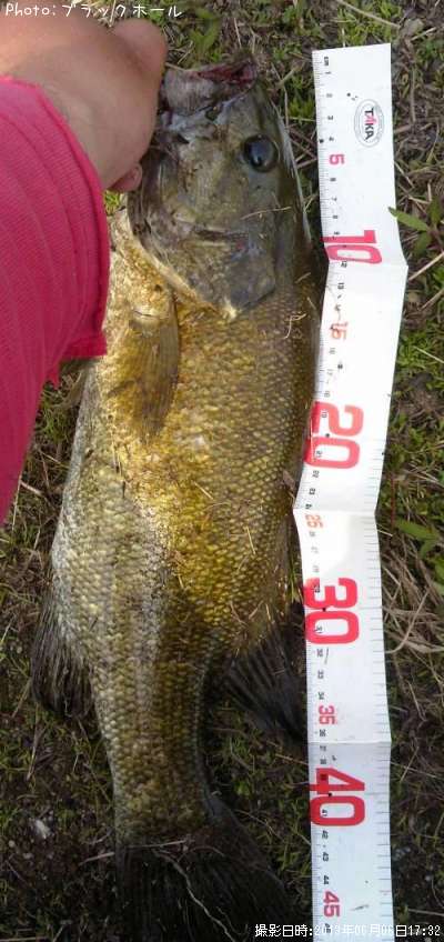 ���⡼��Х�