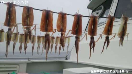 ����ᥤ��