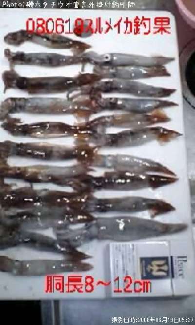 ����ᥤ��