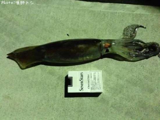 ����ᥤ����