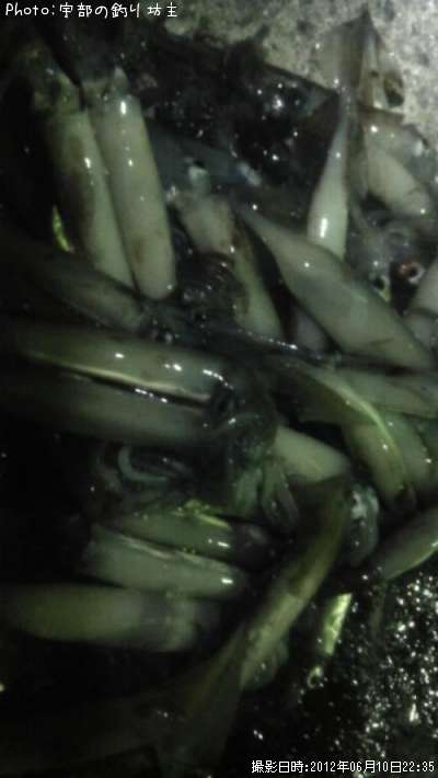 ����ᥤ��