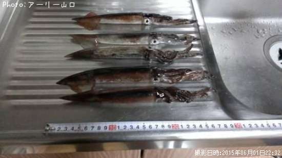 ����ᥤ��