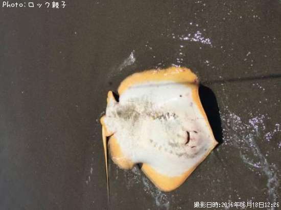 ���ƥ��󥰥졼