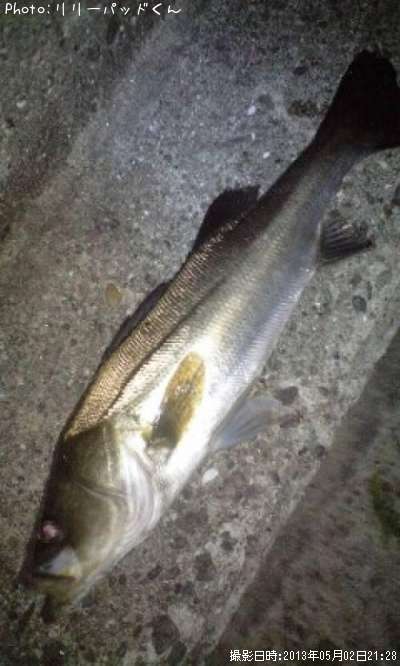 �ҥ��������һ�