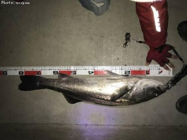 �������������Х�