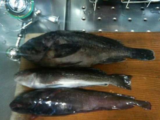 ��ʪ����