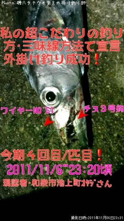 ����������������ݤ����