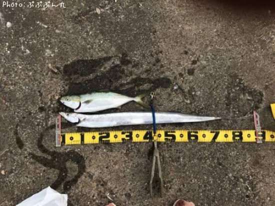 ���������ȥ��ʥ�