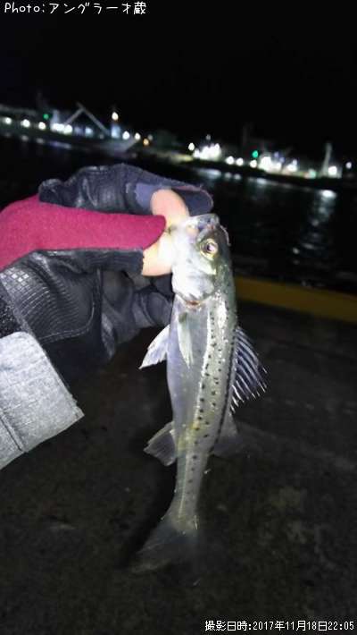 �����ꥯ������