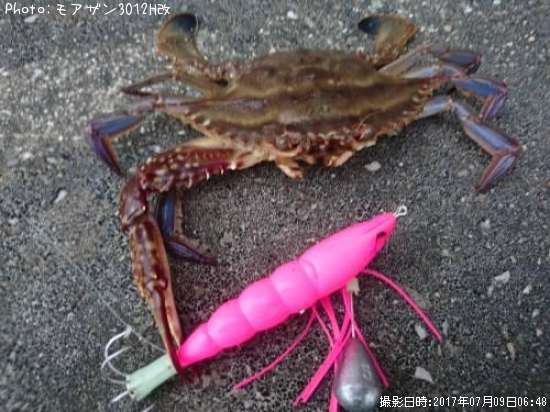 ������󥬥���