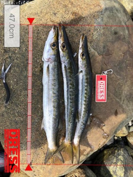 ������󥫥ޥ�