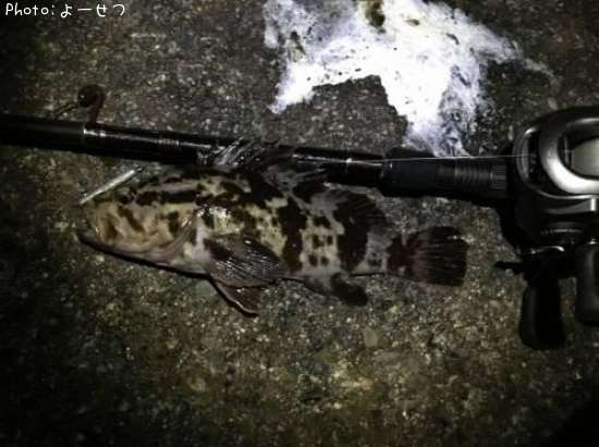 �����Υ�