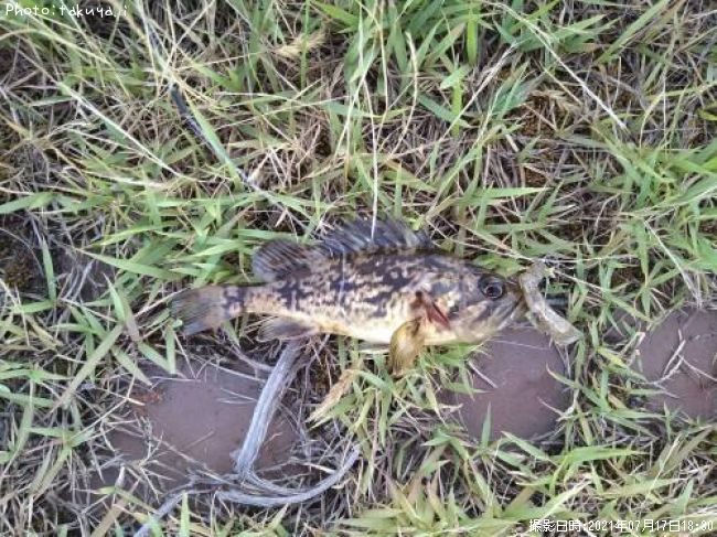 �����Υ�